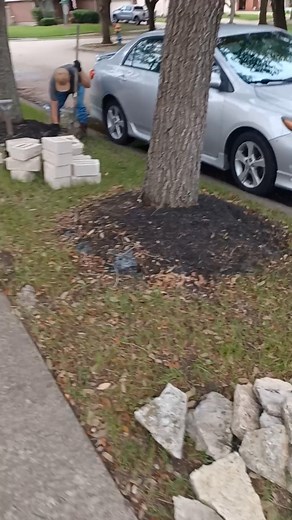 18K views · 106 reactions | Simple Blocks, Bold Impact—Look at This Garden Bed Glow Up!  #gardenbed #retainingwall #frontyarddesign #landscapinginspo #mulchmatters #pavers #beforeandafter #yardupgrade #hardscaping #plantbed #cleanlandscape #treeringdesign #modernyard #greenlawn #gardenstructure #fyp #edensgarden | Eden's Garden | Facebook