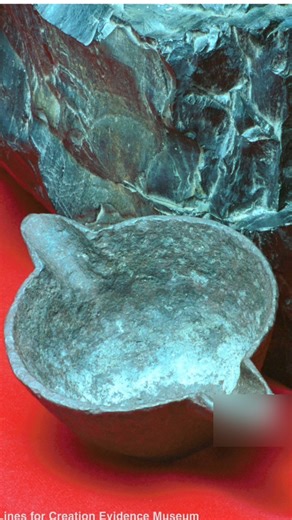 Coal is made from ancient plants buried and compressed into carbon-rich rock.�Most scientists date it to about 300 million years ago, but a biblical view sees it as forming around 4,500 years ago during the Flood. #CreationVsEvolution #CoalFacts | Lost World Museum