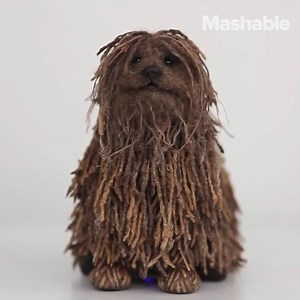325K views · 210 reactions | This creepy robot pup looks just like Zuckerberg's dog, Beast. | Mashable | Facebook