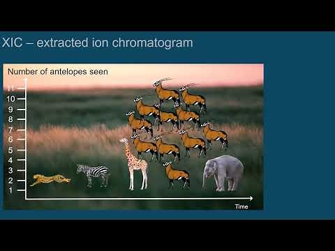 Reading and understanding ion chromatograms - Episode 3 | Introduction to LC-MS
