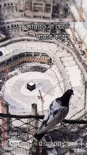 জান্নাতে না যেতে পারার কারণ #quran #foryou #shorts #ইসলামিক