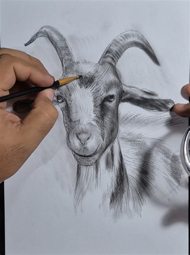 Learn How to Draw Animals: Step-by-Step Guide