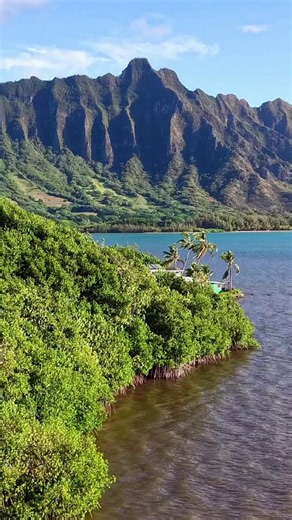 Priceless View!🤩🌊🏝️ Experience Oahu: https://bit.ly/experience-oahu Follow Aloha Stoked Follow Hawaiian Islands Follow Experience Hawaii Media 🎥@s2rp3roi #Oahu #OahuHawaii #OahuLife #ExploreOahu #OnlyInOahu #OahuAdventures #OahuIsland #AlohaFromOahu | Aloha Stoked