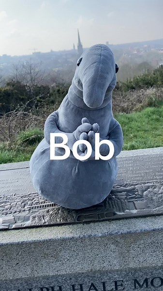 Discover the Adorable Bob Plushie Collection - Perfect Gift for Any Toy Lover