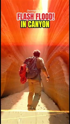 Flash Flood in Canyon. #shorts #usa #survival