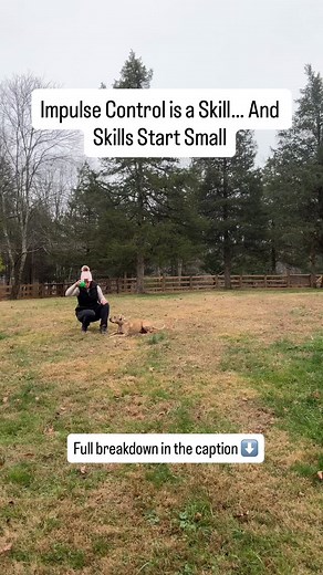 Impulse control isn’t magic. It isn’t a “good dog/bad dog” trait. It’s a skill — and like any skill, it’s built in tiny, repetitive, unsexy moments just like this. Everyone wants the big wins: the perfect stay, the quiet door manners, the dog who sees another dog or a squirrel and stays grounded. Those wins come from hundreds of micro reps where we ask the dog to make one simple choice: “Can you stay with me… even when your brain wants the ball?” That’s it. That’s the work. And it takes more pat