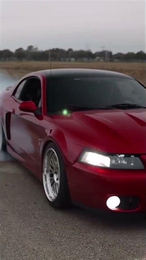 Terminator SVT Cobra Sends it! 🐍