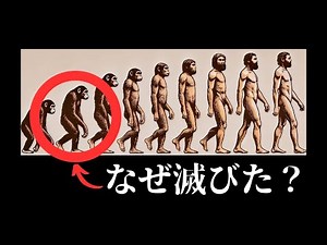 【人類の進化】猿人って何者？アウストラロピテクス？なぜ彼らは絶滅したの？