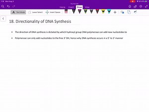 SOLVED:Explain why a DNA polymerase that could synthesize DNA in the 3^' →5^' direction would have a selective disadvantage even if it hadd 5^' →3^' proofreading activity.