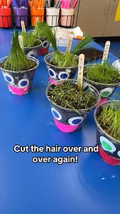 139K views · 430 reactions | April grass-growing fun ✂️ Instead of...