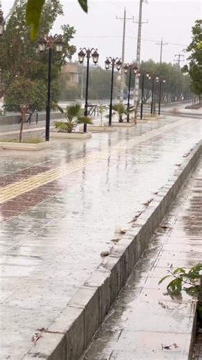 abolfazl🧿erfan on Instagram‎: "سلام خدمت همه عزیزان دل 🥰 …. اینم یه کار دلی و احساسی توی یه روز بارونی تقدیم شما عزیزان دل امیدوارم بپسندید و دوسش داشته باشین 😍🤍 یه کار دلی ک با پنجه های داداش حامد عزیزم بسیار زیبا شد 😍 @hamed_music3"‎