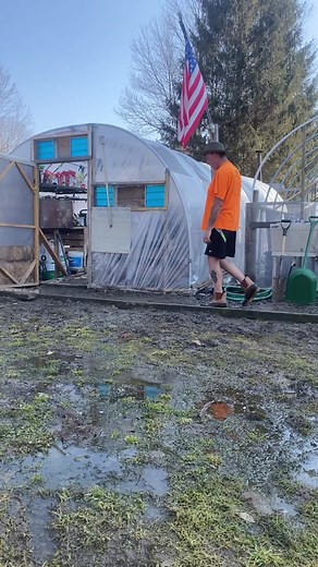 #growing food#vegetable gardening#Garden#fyp #farming #homestead #gardening #greenhouse #organic #ny #zone5a #self sufficient