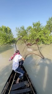 919K views · 18K reactions | Catch a big fish by castnet from the river #CastNetFishing #reels #villagelife #fishing #Amazing #fishinglife #bigfish #castnet | BD fishing world | Facebook
