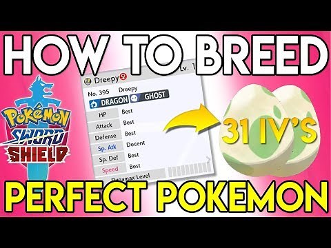 HOW TO BREED PERFECT IV POKEMON - Pokemon Sword and Shield
