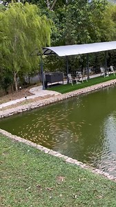 Field effect | George Yeo