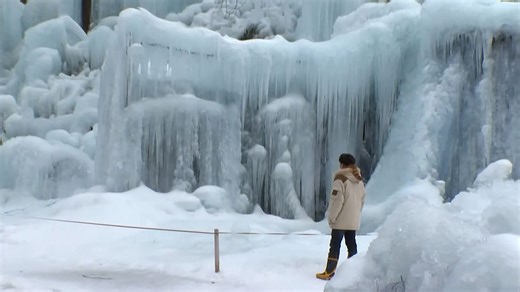 Vídeo. "Bosque bajo cero", una arboleda de hielo creada en una posada de montaña de Takayama