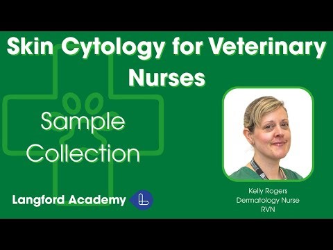 Skin Cytology for Veterinary Nurses: Sample Collection