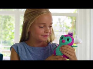 Hatchimals: Instructional