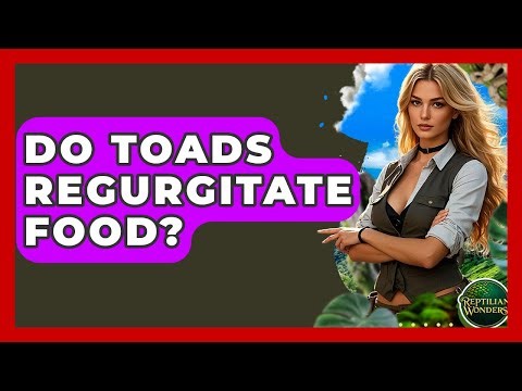 Do Toads Regurgitate Food? - Reptilian Wonders