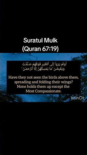 Quran recitation by sheikh Ali Jabir(Rahimahullah)