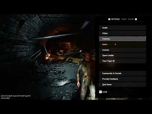 Vigor PC Settings & Controls