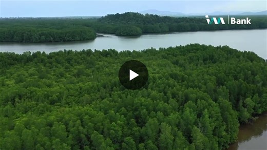 Protecting ecosystems is also about protecting people. In many coastal communities, environmental crimes, human trafficking, and gender based violence are deeply interconnected. When livelihoods are… | Adv. Wisdom Robert Mande