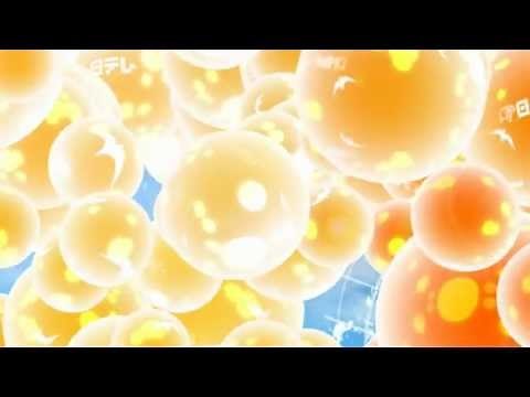 日テレの鳩の休日～アナログ放送終了記念Ver～