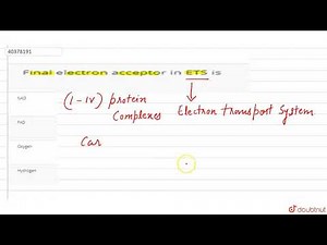 Final electron acceptor in ETS is