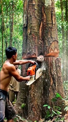 “Cutting a tree in the woods — he learned what true fear means.” #chainsaw #woodworking #asmr