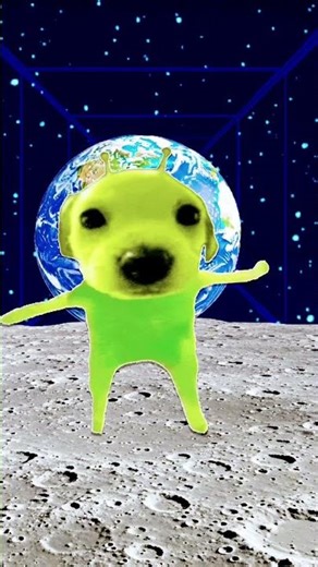 Alien dog decided to dance￼