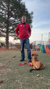 1.8K views · 21 reactions | Here's a simple guide on how to put your dog in time out anywhere. Remember, patience and gentle guidance make the process smoother for both of you. You'll find it easier to help your furry friend learn good behavior with these friendly tips. | Jonathan Cox | Facebook