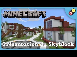 Minecraft - Présentation du Skyblock [FR]