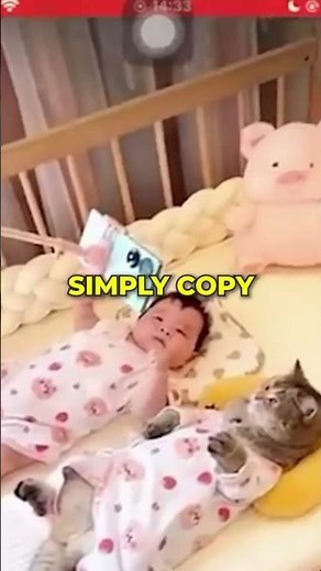 Repurpose Chinese Platform Videos for YouTube
