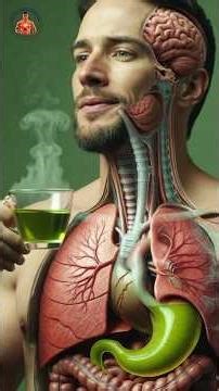 Green Tea Inside Your Body | Real Medical 3D Animation | Science-Based Health Benefits/#shorts