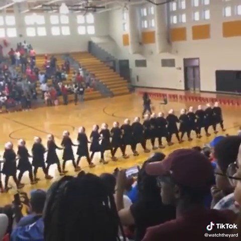 Augusta Alumnae Chapter of Delta Sigma Theta Highlights