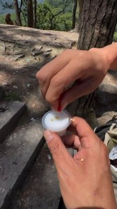 When you offer a monkey 🐒 spicy jelly and it instantly becomes a food critic... 🌶️😂 #Spicy #Food #MonkeyBusiness #Funny | iChongqing