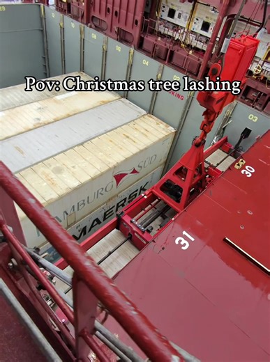 Christmas Tree Lashing Techniques for Rainy Days