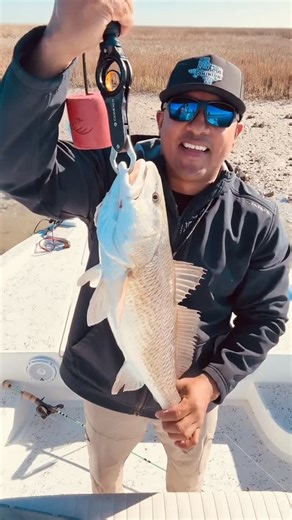 Matt Gonzales on Instagram: "Quick redfish limit on the cosmic wedgie by @goatfish_lures Hat- @southerndominionco Rod- @battlebornrodz Jighead- @deadeyejigz #redfish #fyp #fishingtips #catchingfish #fishing"