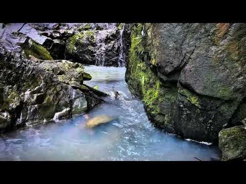 The Definition of Serenity: Waterfall Therapy 🌿✨