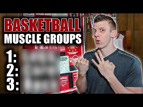 The 3 Most Important Muscle Groups Used In Basketball