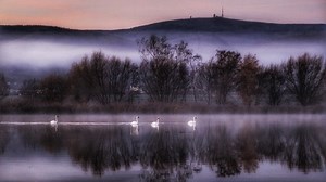 Die Hexen zu dem Brocken ziehen – Ruhm, Schönheit und Elend eines deutschen Berges