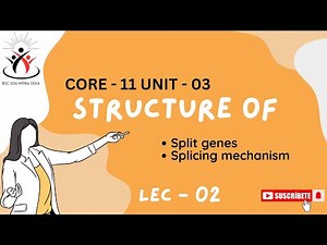 Concept of exons and introns || split genes || splicing mechanism