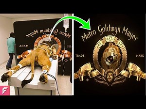 MOST FAMOUS BRAND LOGOS WITH A HIDDEN SECRET! (MEANING That We Rarely Notice)