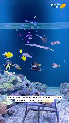 🤝Planète Mer X Planet Ocean Montpellier