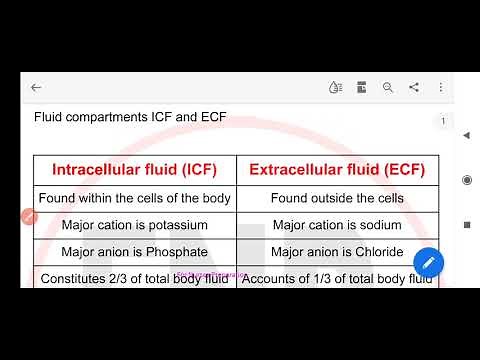 Intracellular fluid vs Extracellular fluid