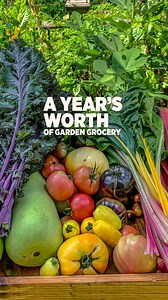 Embarking on a journey to grow a year’s worth of food involves thoughtful planning and effective use of space. You can optimize your garden area by interplanting, growing in succession and growing vertically, allowing you to cultivate more crops in smaller spaces. By adopting sustainable gardening practices and growing your own food, you can relish the advantages of a fresh, nutritious garden buffet right in your backyard. This not only brings a sense of self-sufficiency but also encourages a he