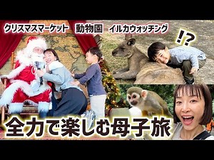 【子連れ旅】距離が近過ぎ動物園🐒日本一本場なクリスマス🎄年中イルカに会える場所🐬2泊3日長崎旅おすすめコース【イルカウォッチング・バイオパーク・ハウステンボス】