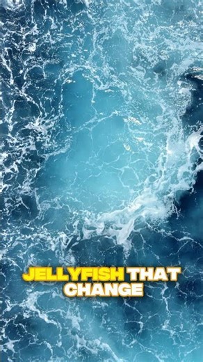 10 most mysterious creatures found in the Deep Sea