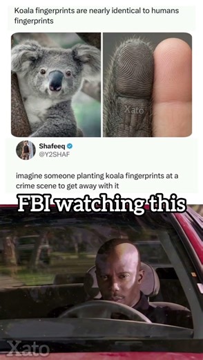 FBI open up 👮‍♂️
