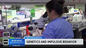 UC San Diego researchers looking into connection between genes, impulsive behaviors
